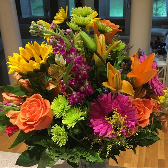 Meet your Posher, Evelyn - Picture 1 of 1